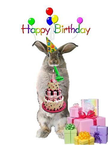 Birthday Bunny Wishes