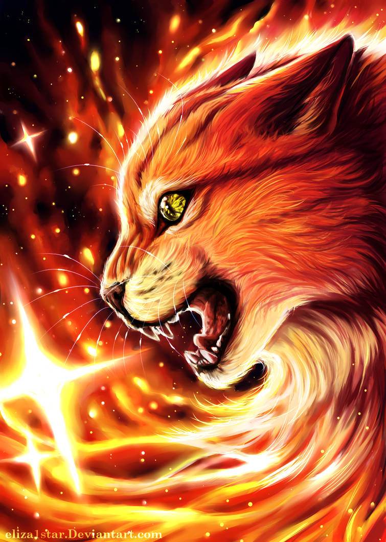 Spring Fire Star Firestar by eliza1star on DeviantArt