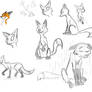 Cartoon fox practice  reference psge