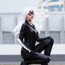 Marvel - Black Cat