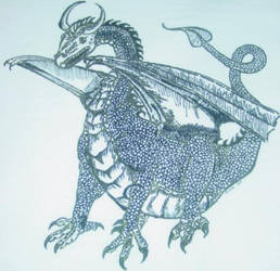 Nathan's dragon