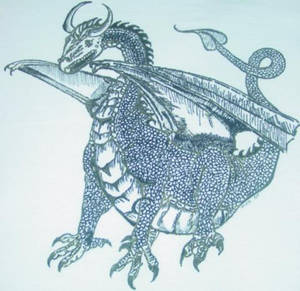 Nathan's dragon