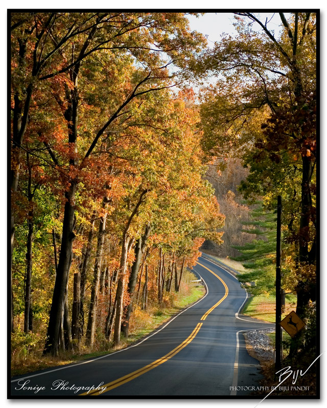 Clopper Road in the fall