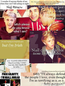 Niall Horan Quotes