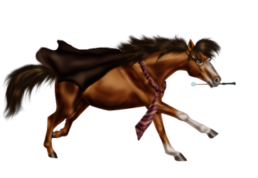 Horse Potter by Butterkex