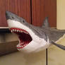 Great White Shark_2