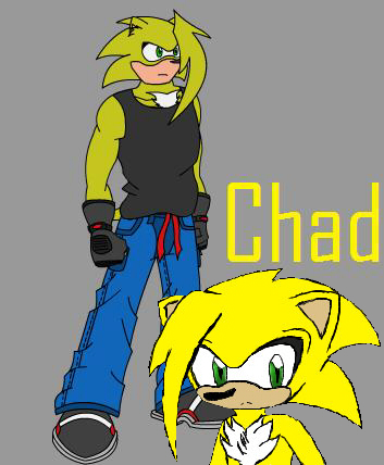 Chad the Hedgehog [ADOPT: OPEN ]