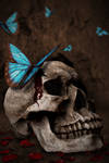 Skull of Cupid by ChimeraArtz