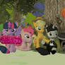 Further meeting in Ponyville.