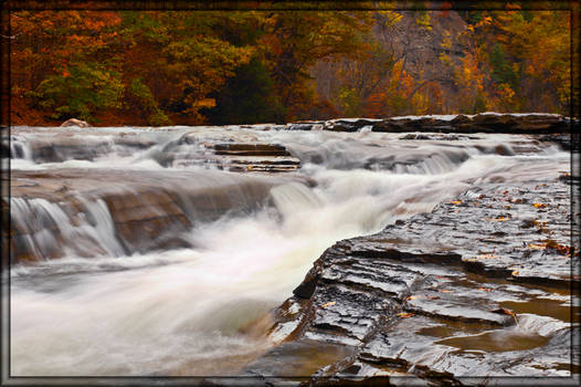 Zoar Valley Canyon III