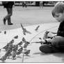 the boy and the sparrows 1