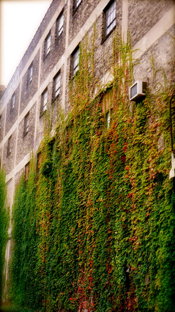 Growing Color In Growing colors by AmorPhotoArt on DeviantArt