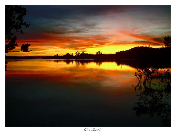 Amber Reflections