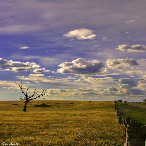 Behind The Boundary Fence