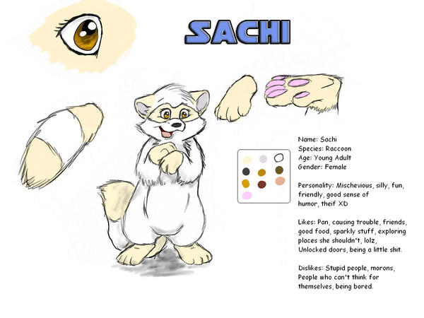 Sachi character sheet