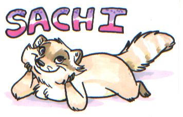Sachi badge
