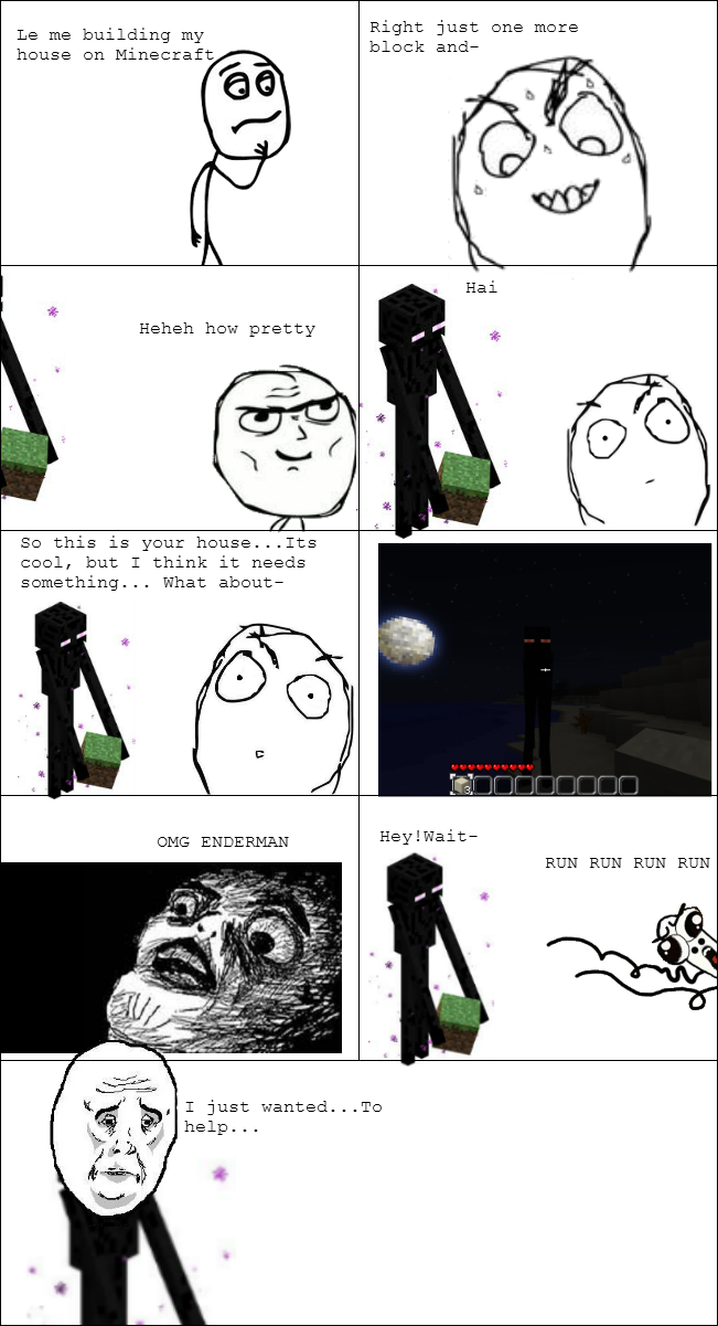 Life of an Enderman