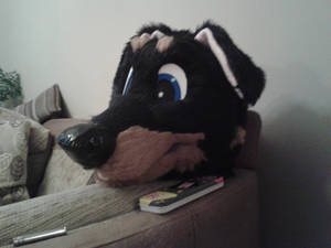 my fursuit :O