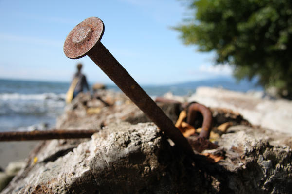 Nail In A Beach Log