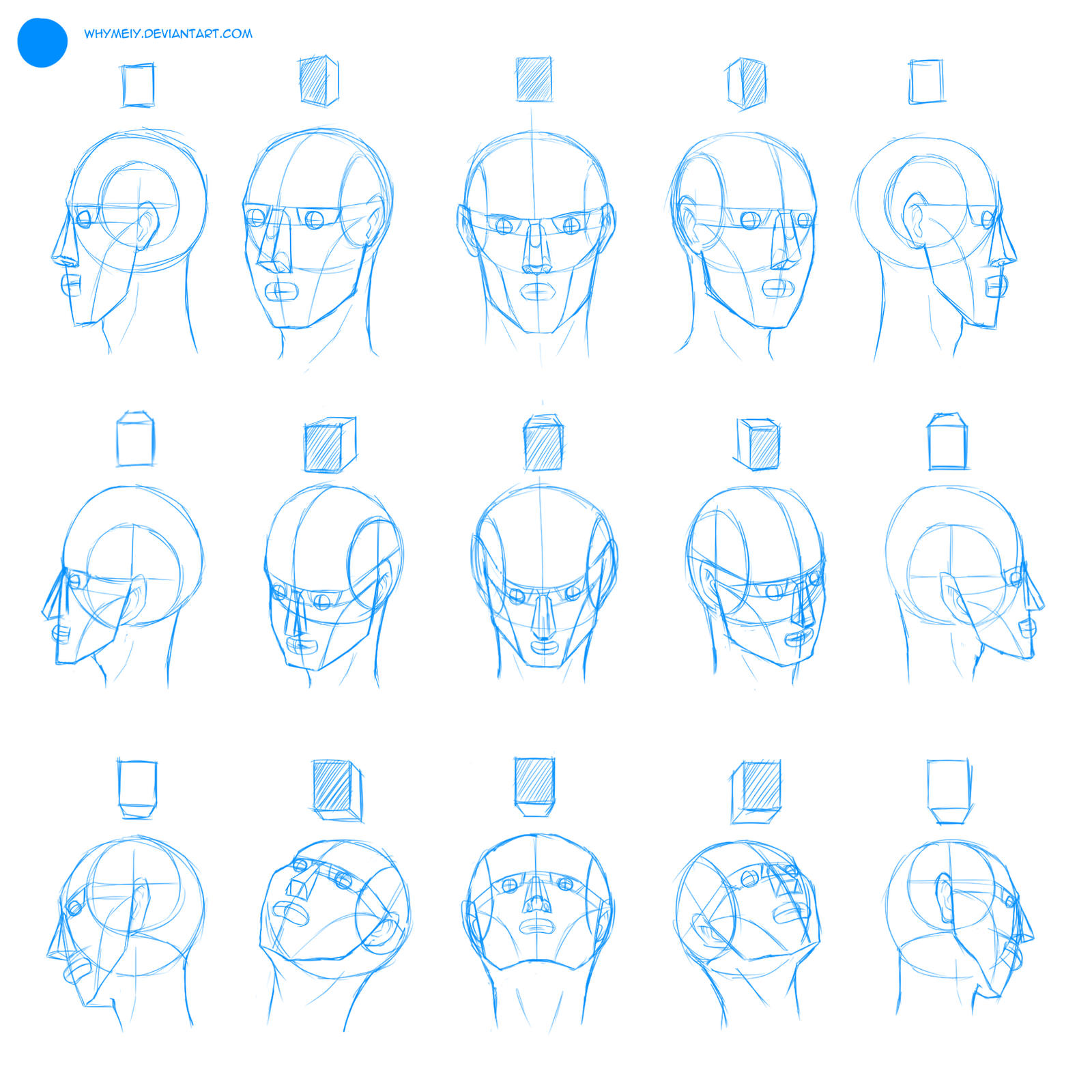 Heads Perspective Practice 1