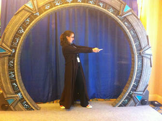 The Doctor And The Stargate