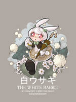 100110 white rabbit