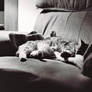 Comfort II