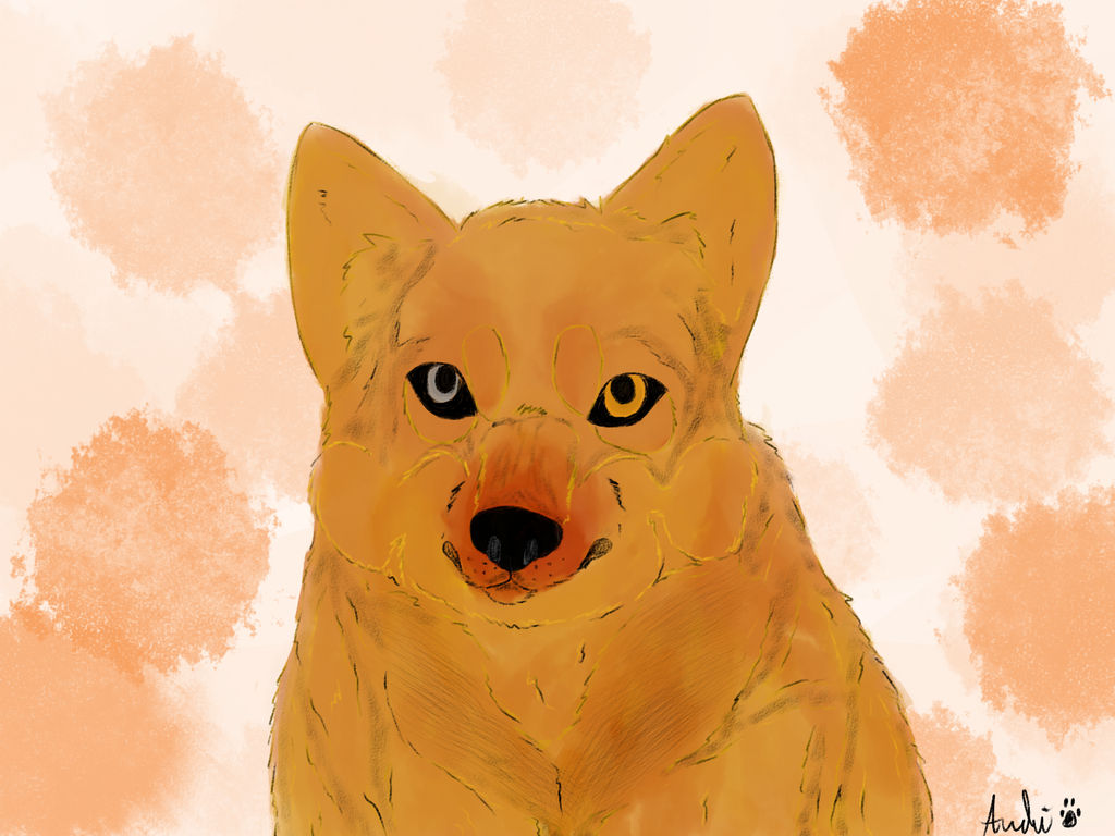 Zwei By TheDemonicWolfKing On DeviantArt zwei-by-thedemonicwolfking-on-deviantart