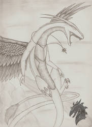 .: Star Sight Dragon :.