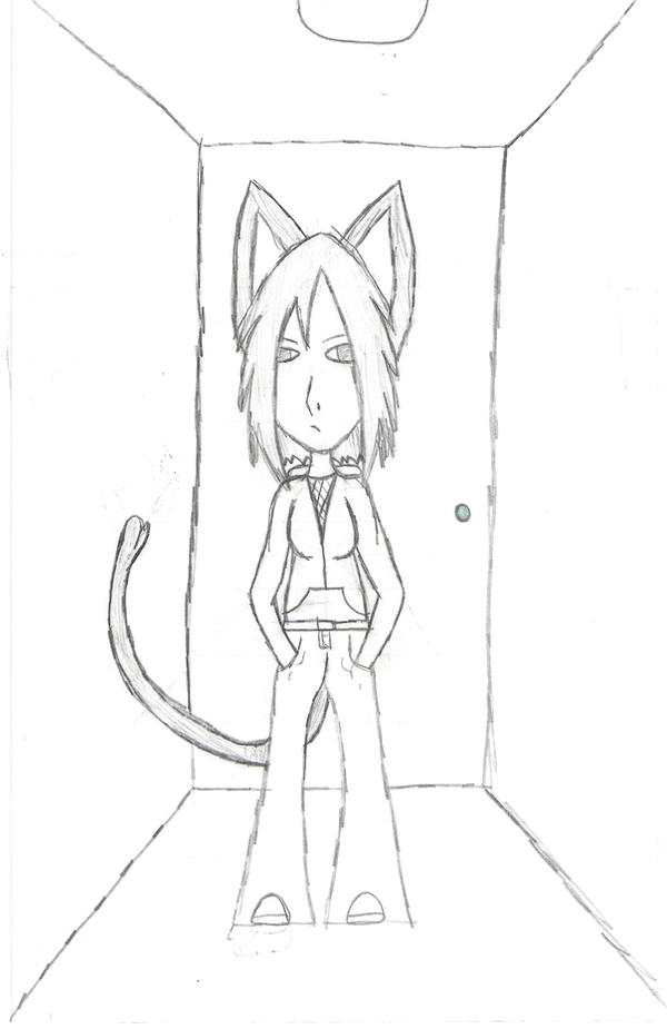 Kitteh by Fire-Ninja-Pirate on DeviantArt