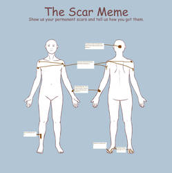 Scar Meme by Humon - My scars