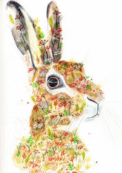 Botanical Hare