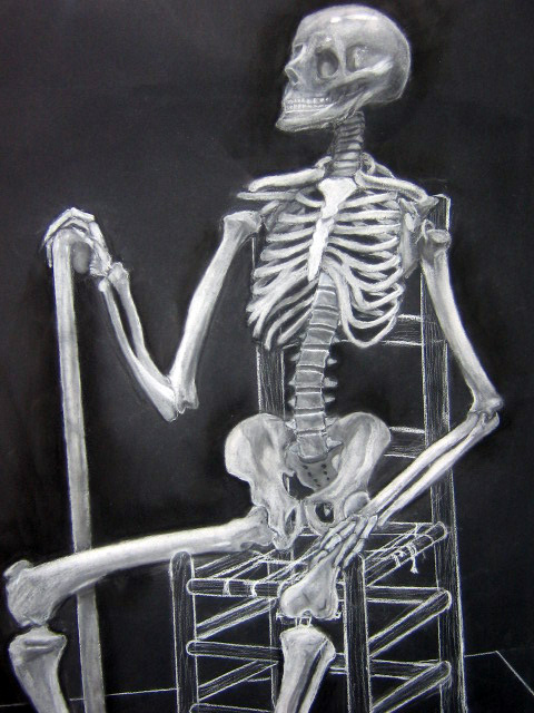 Sophisticated Skeleton