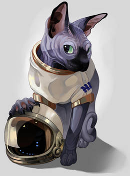 Space Cat