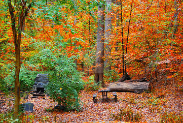 Rock Creek Campsite