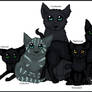 Family Portrait - Crowfeather