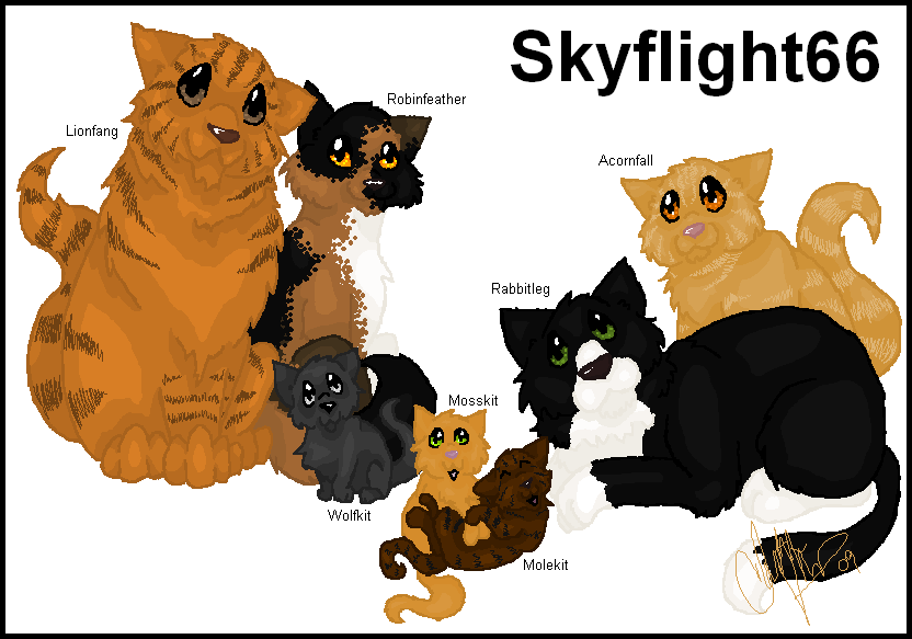 REQUEST:Fam Portrait-Skyflight