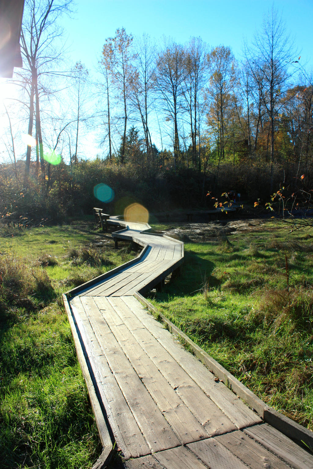 A Day at Rocky Point 1: The Boardwalk