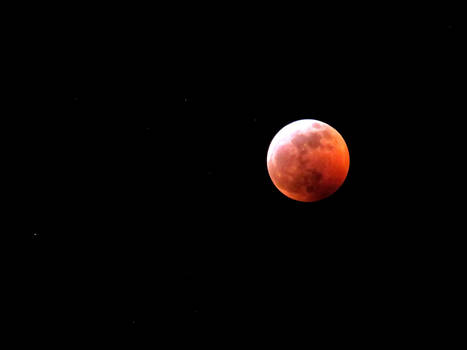 The Super Blood Wolf Moon