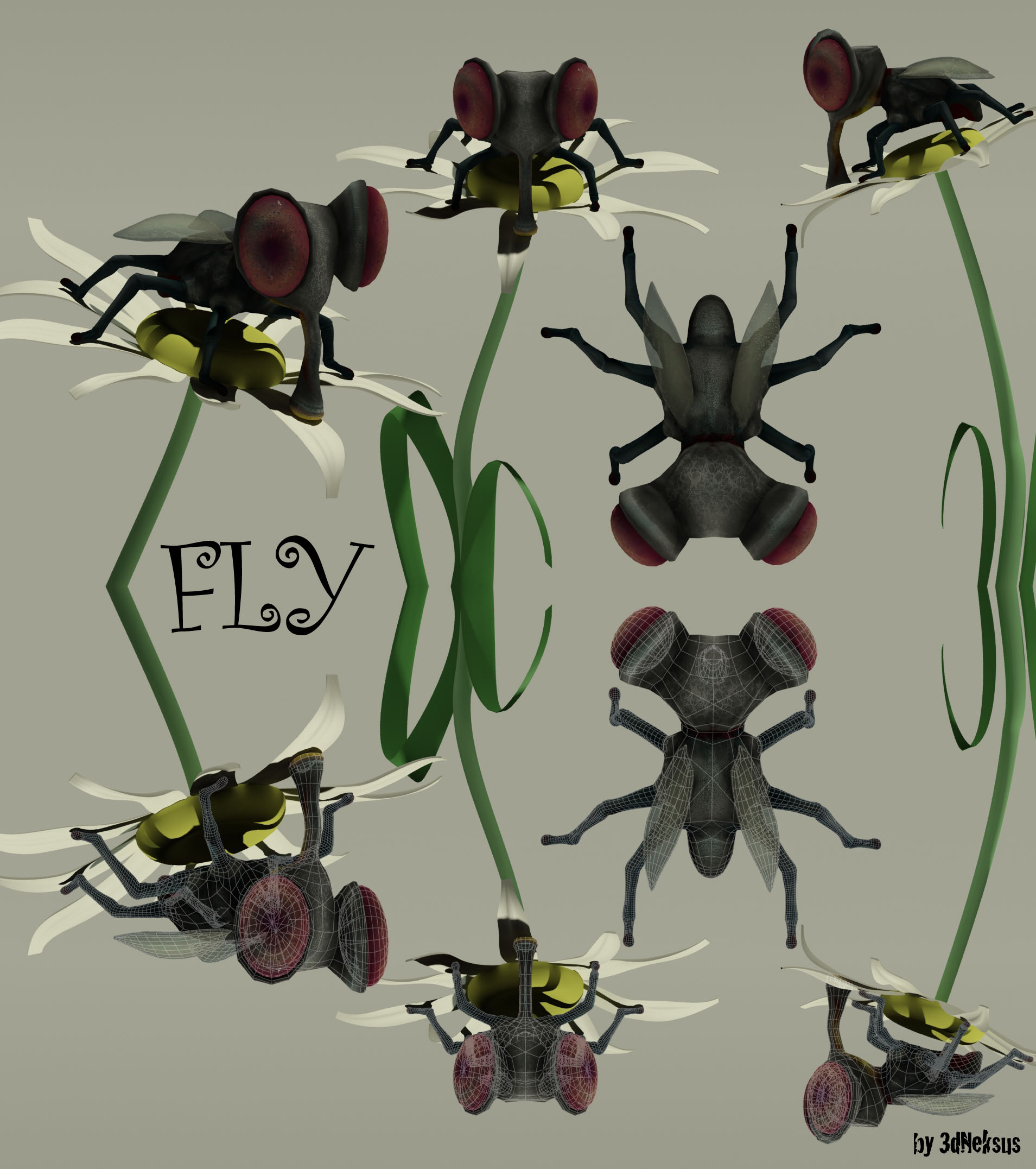 Fictional Fly Cartoon Fly by 3DNeksus on DeviantArt