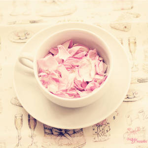 Cup of Roses