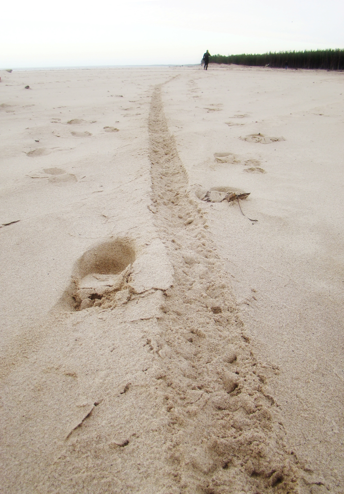 footprints in the sand