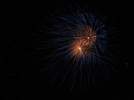 Firework