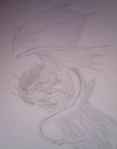 Dragon Sketch