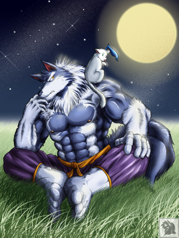 Garon Deviantart Darkstalkers Attribute - Garon by ryuumajin on DeviantArt