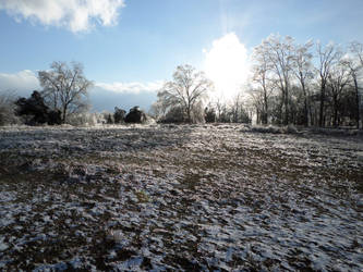 Icy field