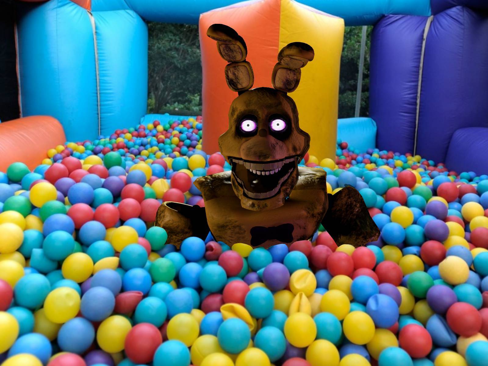 DO NOT go Inside SPRING BONNIES BALL PIT..