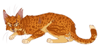 Leopardstar by sorrelpaaws
