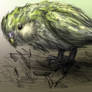 Kakapo Sketch