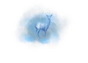 Patronus Doe / Patronus Biche